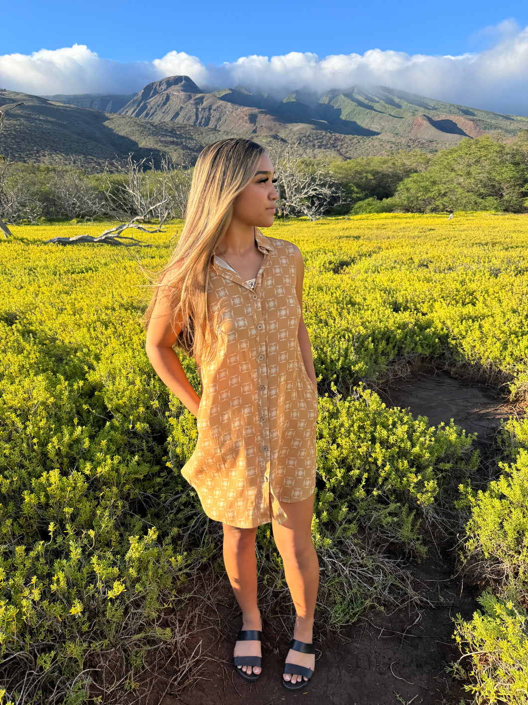 Ella Button Up Dress- Honey