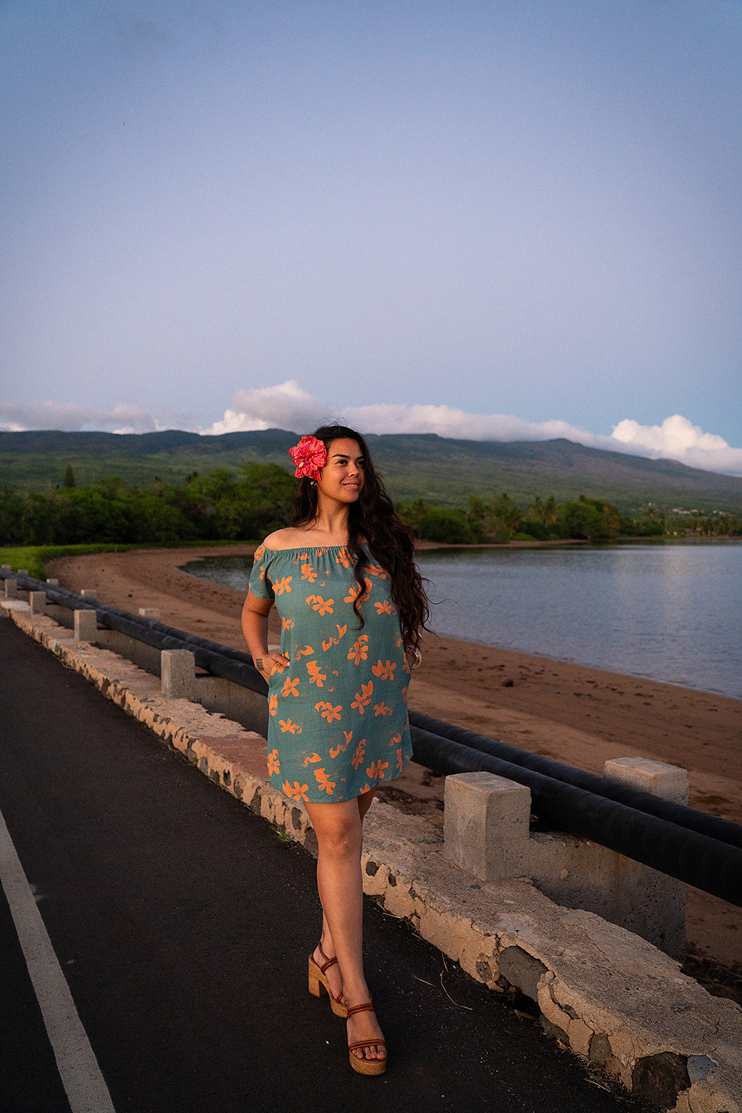 Kalena OTS Dress - Stormcloud/Tiger